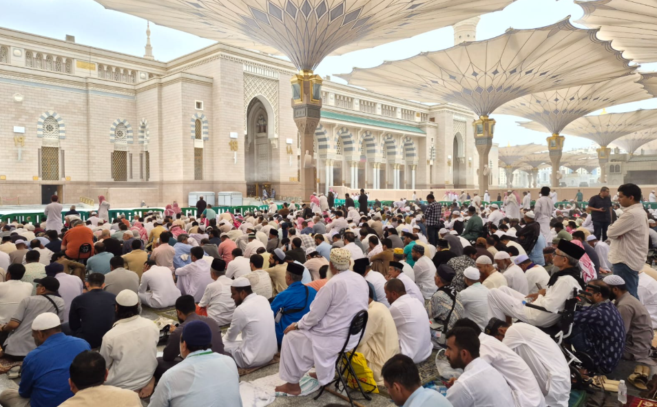 Wamenhaj Ingatkan Petugas Haji, Fase Madinah Jadi Tantangan Berat bagi Jemaah Gelombang Kedua